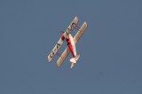 IMG 7307